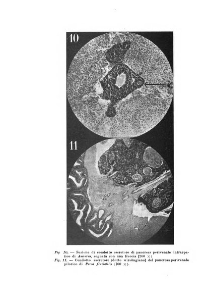 Scritti biologici raccolti da Luigi Castaldi