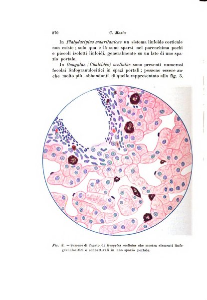 Scritti biologici raccolti da Luigi Castaldi