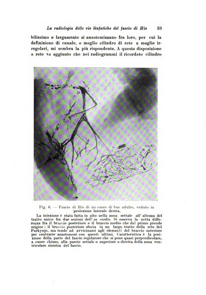 Scritti biologici raccolti da Luigi Castaldi