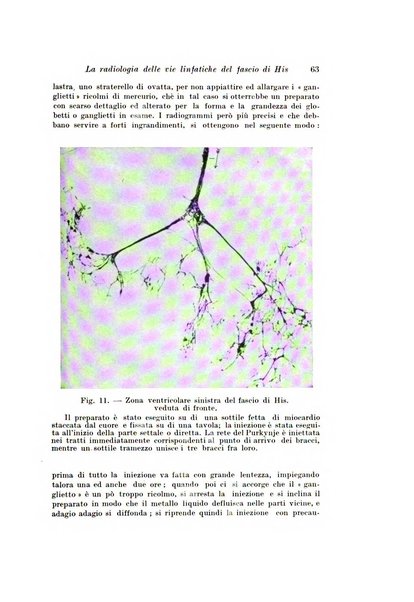 Scritti biologici raccolti da Luigi Castaldi