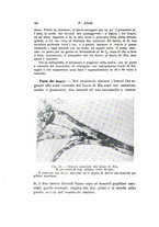 giornale/TO00195003/1936/unico/00000070