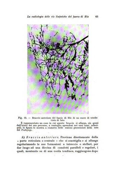 Scritti biologici raccolti da Luigi Castaldi