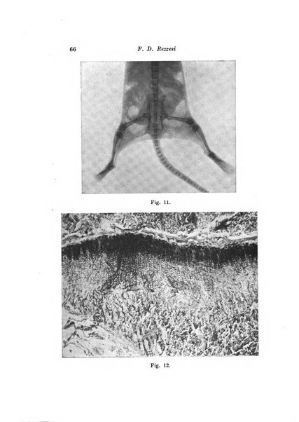 Scritti biologici raccolti da Luigi Castaldi