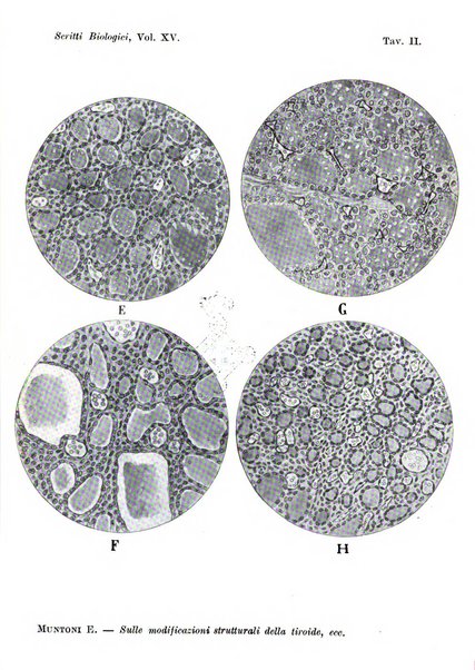 Scritti biologici raccolti da Luigi Castaldi