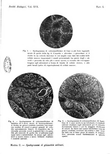 Scritti biologici raccolti da Luigi Castaldi