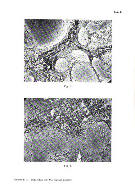 Scritti biologici raccolti da Luigi Castaldi