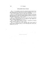 giornale/TO00195003/1941-1942/unico/00000122