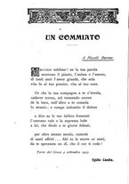 giornale/TO00195251/1904/unico/00000200