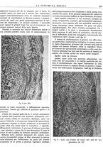 giornale/TO00195265/1941/V.1/00000243