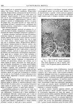 giornale/TO00195265/1941/V.2/00000480