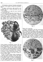 giornale/TO00195265/1941/V.2/00000512