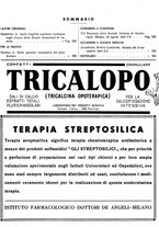 giornale/TO00195265/1942/unico/00000347