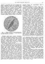 giornale/TO00195265/1943/unico/00000251