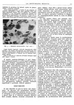 giornale/TO00195265/1943/unico/00000265