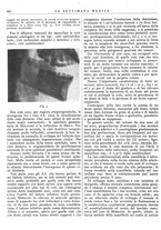 giornale/TO00195265/1943/unico/00000570