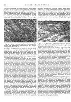 giornale/TO00195265/1943/unico/00000618