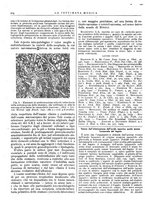 giornale/TO00195265/1946/unico/00000264