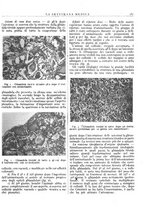 giornale/TO00195265/1946/unico/00000363