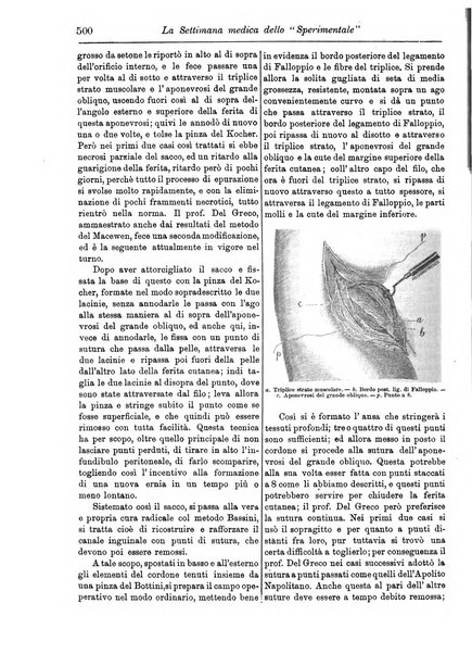 La settimana medica de Lo sperimentale organo dell'Accademia medico-fisica fiorentina