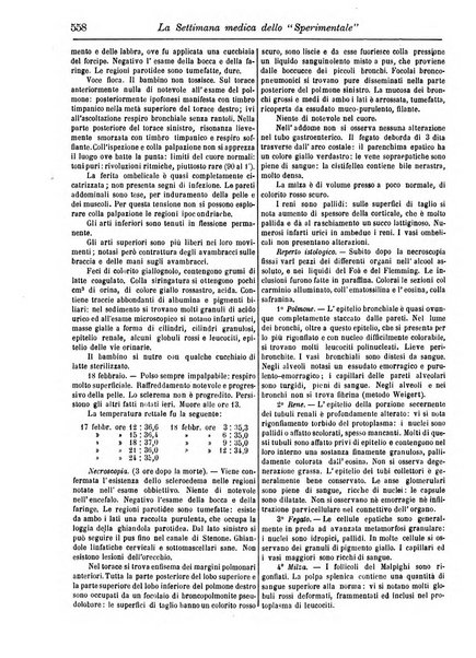 La settimana medica de Lo sperimentale organo dell'Accademia medico-fisica fiorentina