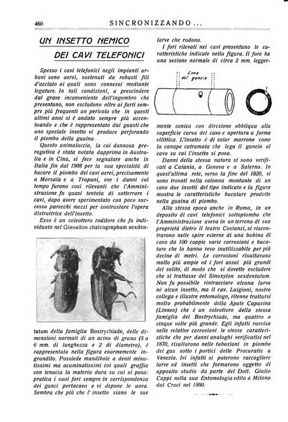 Sincronizzando rivista mensile di elettricita e varieta