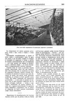 giornale/TO00195353/1931/v.2/00000195