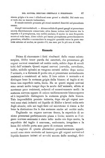 Lo sperimentale ovvero giornale critico di medicina e chirurgia per servire ai bisogni dell'arte salutare