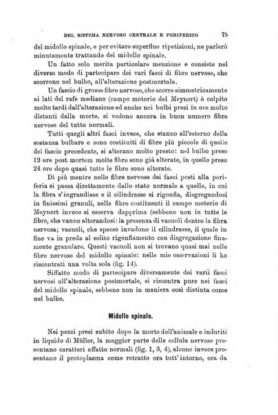 Lo sperimentale ovvero giornale critico di medicina e chirurgia per servire ai bisogni dell'arte salutare