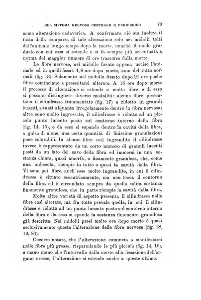 Lo sperimentale ovvero giornale critico di medicina e chirurgia per servire ai bisogni dell'arte salutare