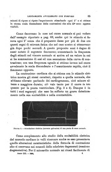 Lo sperimentale ovvero giornale critico di medicina e chirurgia per servire ai bisogni dell'arte salutare