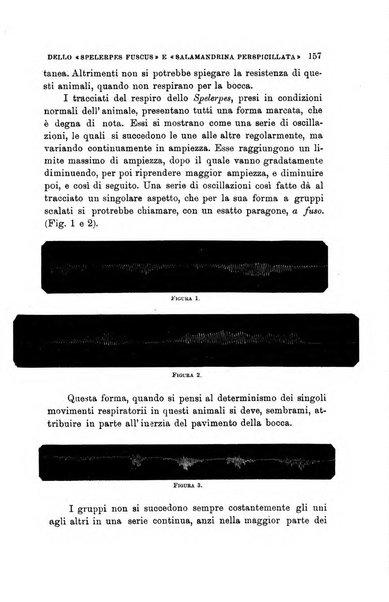 Lo sperimentale ovvero giornale critico di medicina e chirurgia per servire ai bisogni dell'arte salutare