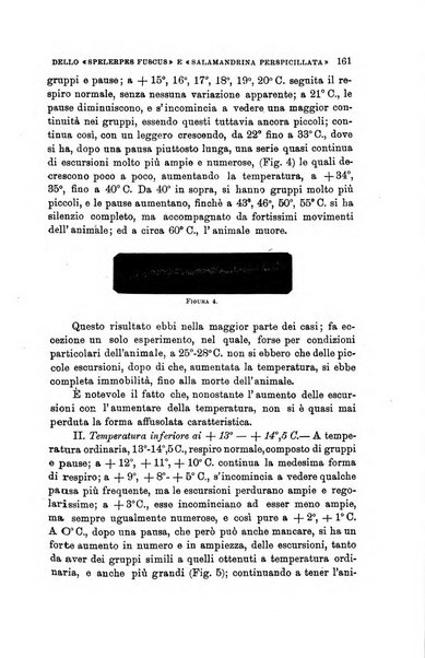 Lo sperimentale ovvero giornale critico di medicina e chirurgia per servire ai bisogni dell'arte salutare