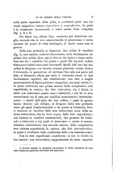 Lo sperimentale ovvero giornale critico di medicina e chirurgia per servire ai bisogni dell'arte salutare