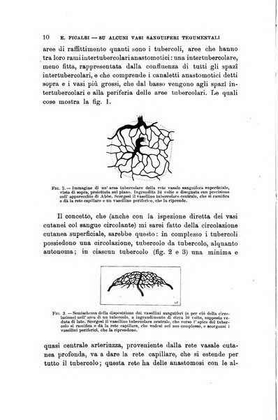 Lo sperimentale ovvero giornale critico di medicina e chirurgia per servire ai bisogni dell'arte salutare