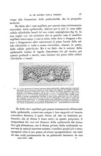 Lo sperimentale ovvero giornale critico di medicina e chirurgia per servire ai bisogni dell'arte salutare