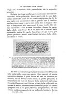 giornale/TO00195636/1899/unico/00000023