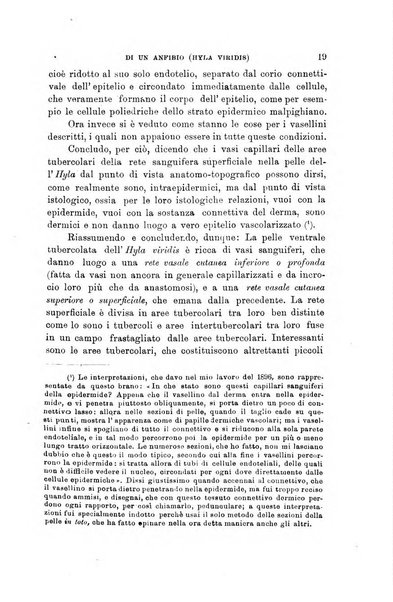 Lo sperimentale ovvero giornale critico di medicina e chirurgia per servire ai bisogni dell'arte salutare