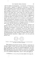 giornale/TO00195636/1899/unico/00000037