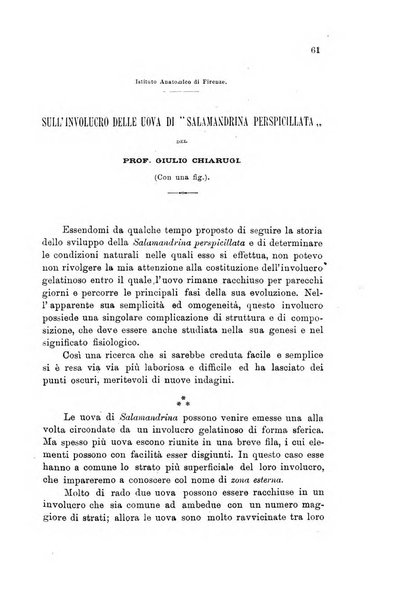 Lo sperimentale ovvero giornale critico di medicina e chirurgia per servire ai bisogni dell'arte salutare