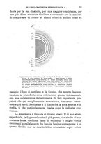 giornale/TO00195636/1899/unico/00000069