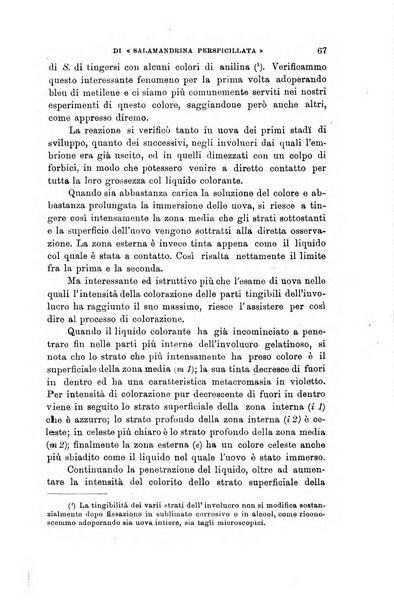 Lo sperimentale ovvero giornale critico di medicina e chirurgia per servire ai bisogni dell'arte salutare