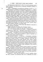 giornale/TO00195636/1899/unico/00000105