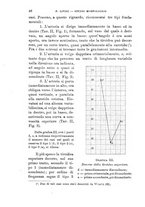 giornale/TO00195636/1900/unico/00000054