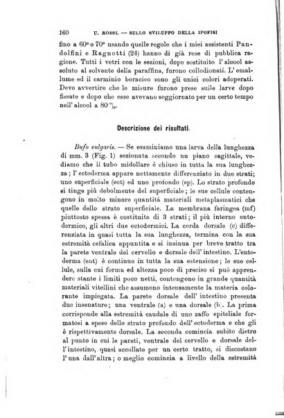 Lo sperimentale ovvero giornale critico di medicina e chirurgia per servire ai bisogni dell'arte salutare