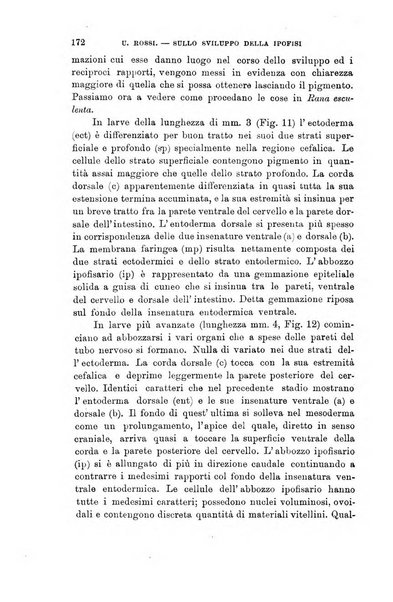 Lo sperimentale ovvero giornale critico di medicina e chirurgia per servire ai bisogni dell'arte salutare