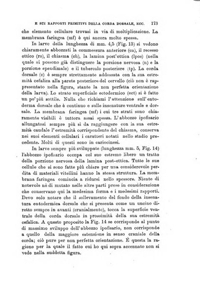 Lo sperimentale ovvero giornale critico di medicina e chirurgia per servire ai bisogni dell'arte salutare