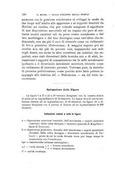 Lo sperimentale ovvero giornale critico di medicina e chirurgia per servire ai bisogni dell'arte salutare