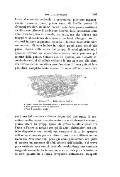 Lo sperimentale ovvero giornale critico di medicina e chirurgia per servire ai bisogni dell'arte salutare