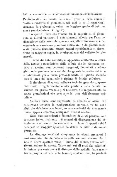 Lo sperimentale ovvero giornale critico di medicina e chirurgia per servire ai bisogni dell'arte salutare