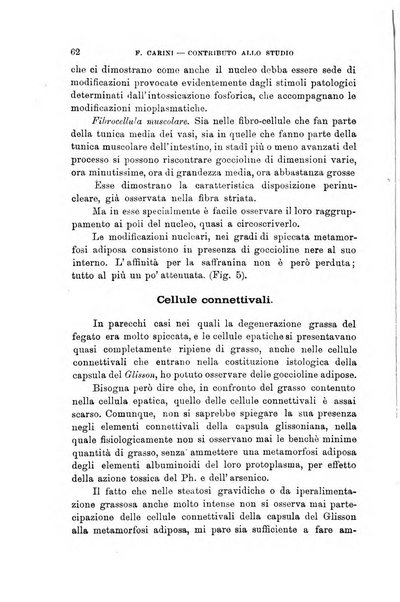 Lo sperimentale ovvero giornale critico di medicina e chirurgia per servire ai bisogni dell'arte salutare